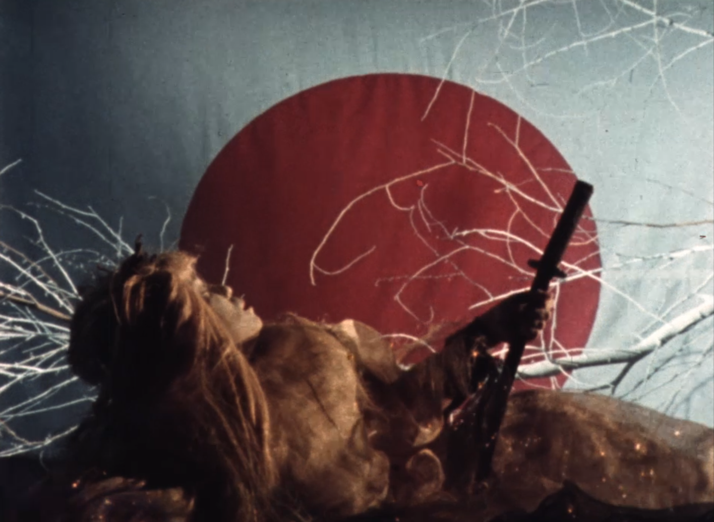 Image du film The Sex Warriors & The Samurai
